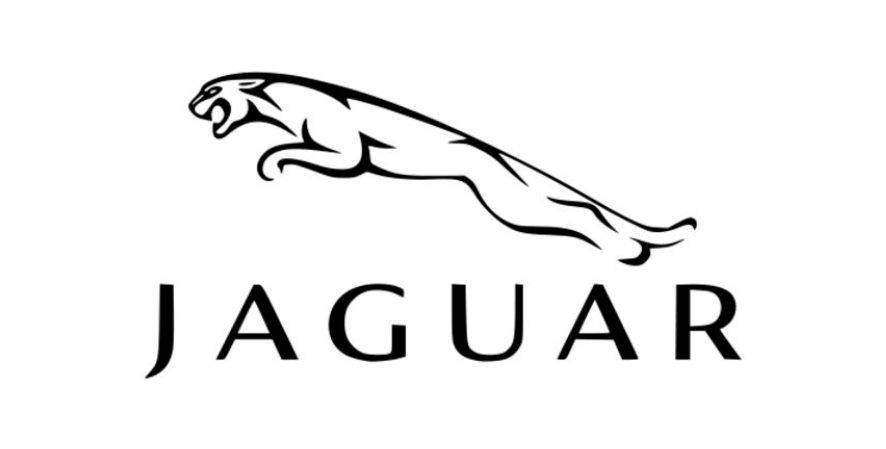 Lunettes Jaguar